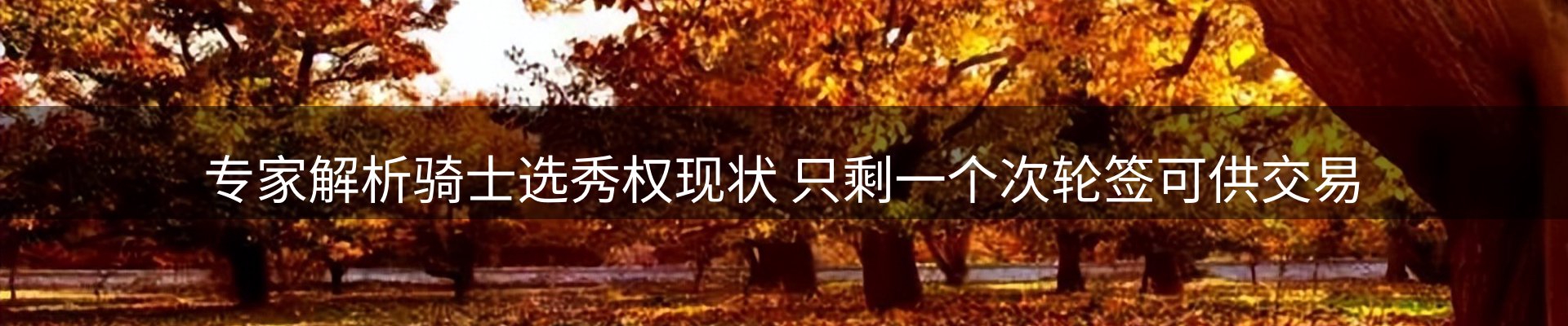 平台视角