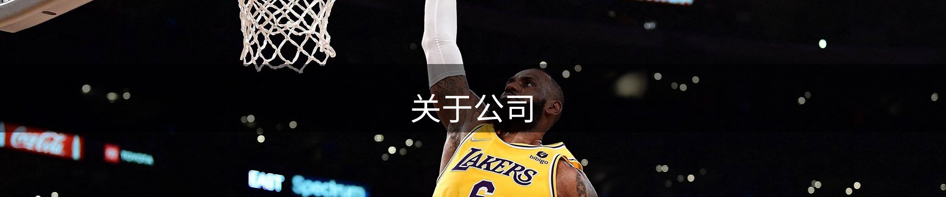 关于公司