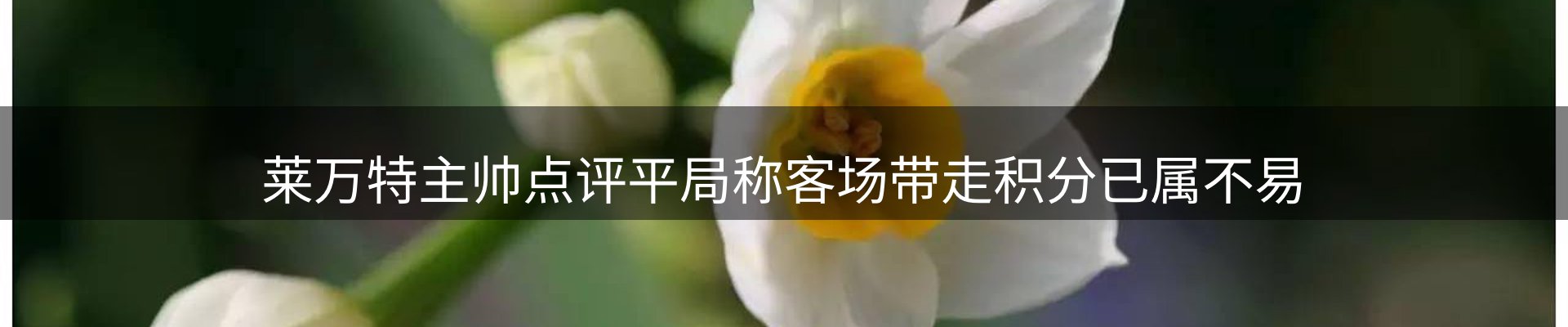 平台视角